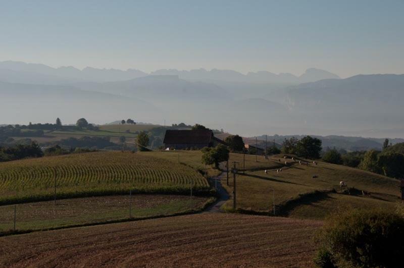 Gite La Grange Du Haut Saint-Antoine  Екстер'єр фото